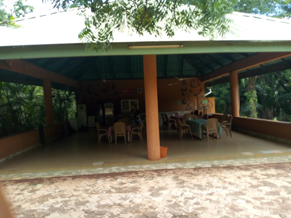 Ofu Obi African Center photo 4